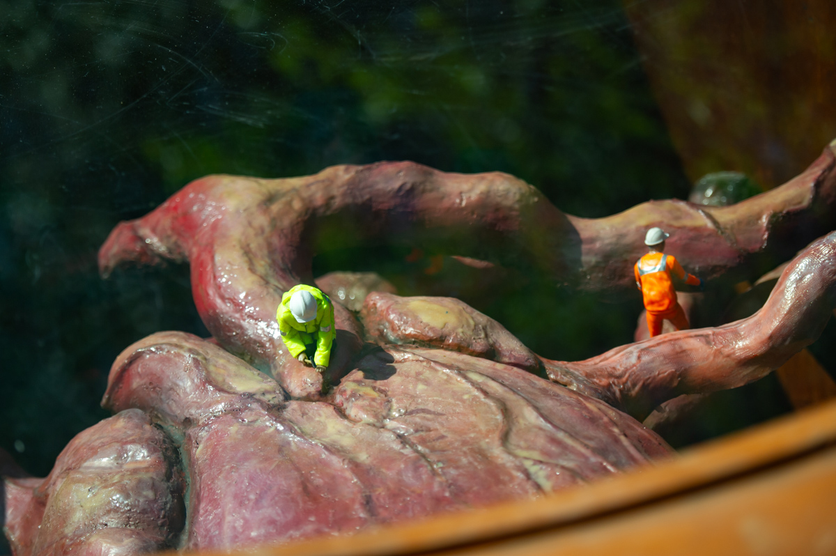 Konstverket under Wallstreet 2025